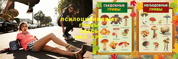 ECSTASY Киреевск