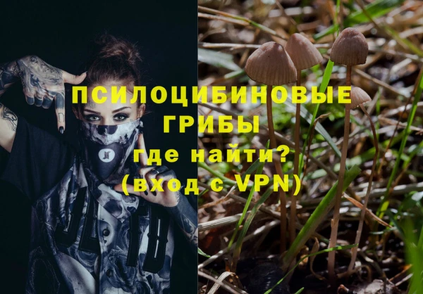 соль ск Кинешма