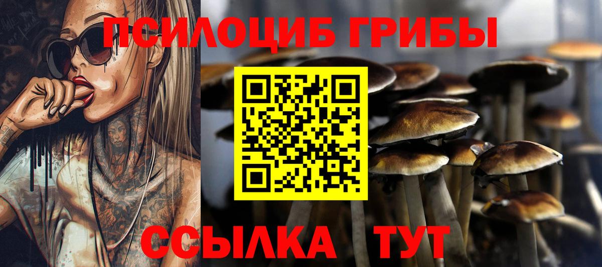 Галлюциногенные грибы Magic Shrooms Ноябрьск