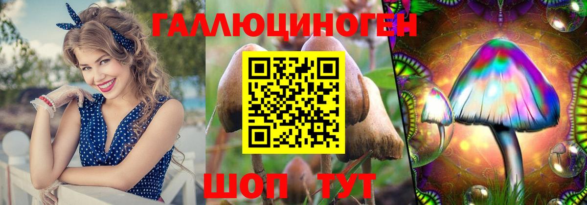 Псилоцибиновые грибы GOLDEN TEACHER  Вход с VPN  Галлюциногенные грибы Psilocybe  Ноябрьск 