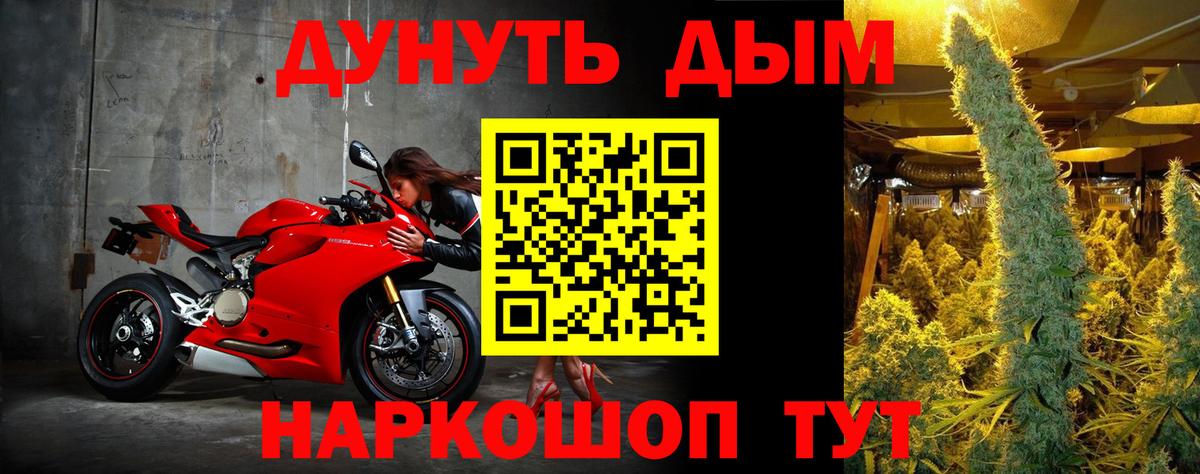 Каннабис гибрид  Канабис Bruce Banner  Ноябрьск  Канабис гибрид 