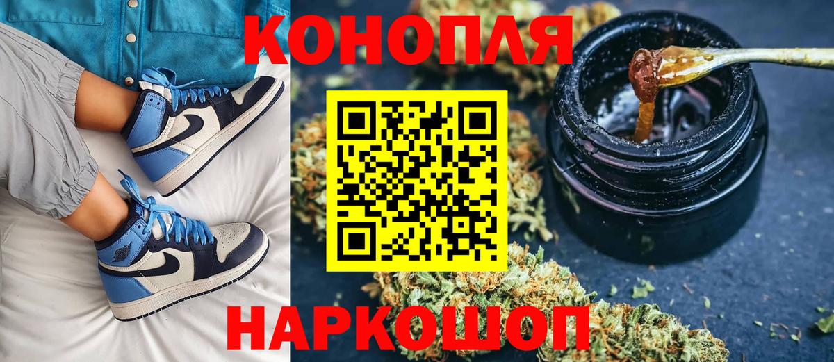 Каннабис планчик Ноябрьск